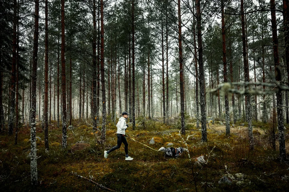Lisa Nordén — Hannes Söderlund