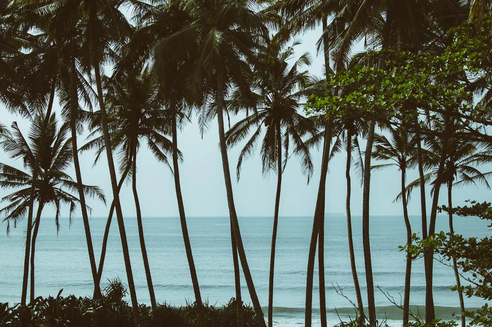 Sri Lanka