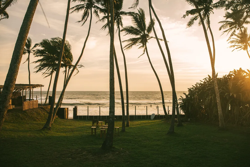 Indian Ocean Surf Club