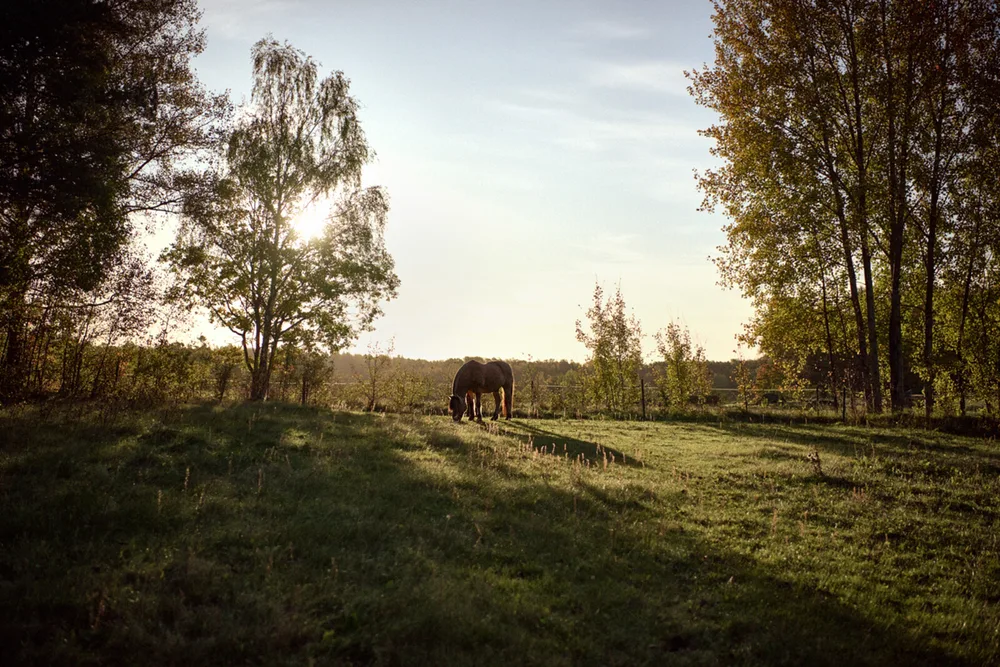 Bogesunds Ridskola — Jimmy Eriksson
