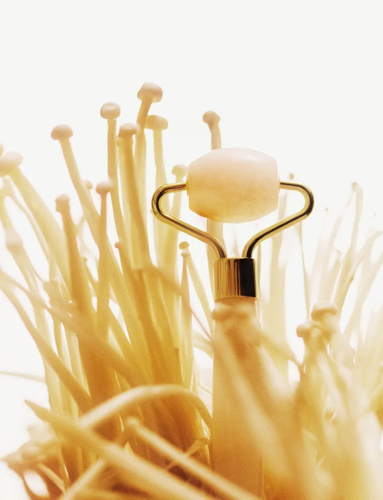Skincare still life Fungal — Nina Holma