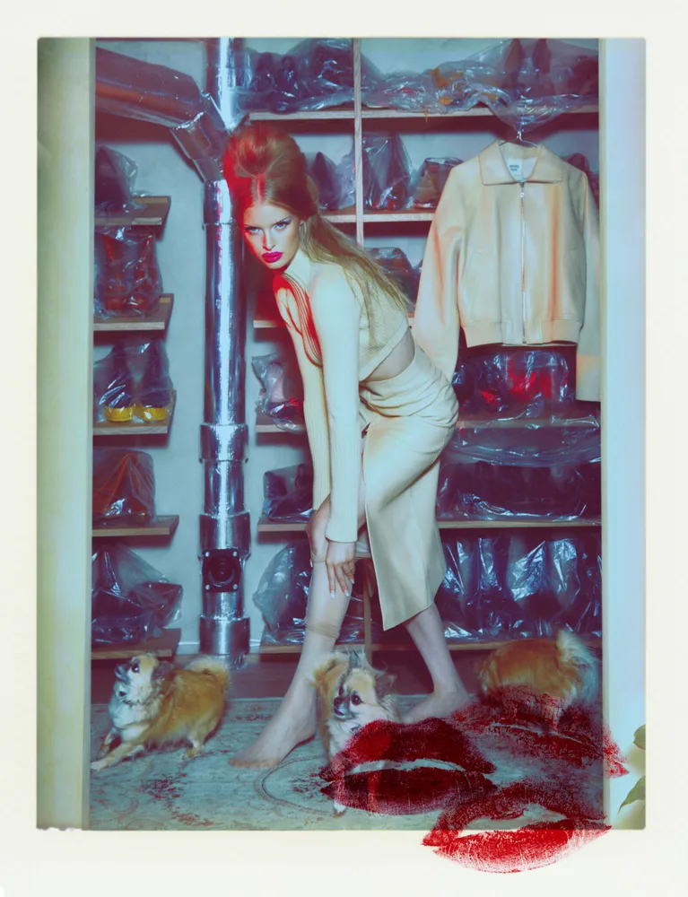 Odalisque — Rebecca Cohen