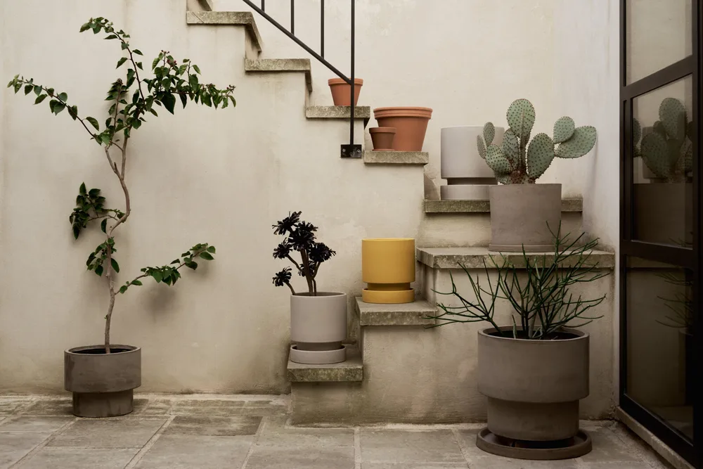 Granit — Julia Losciale