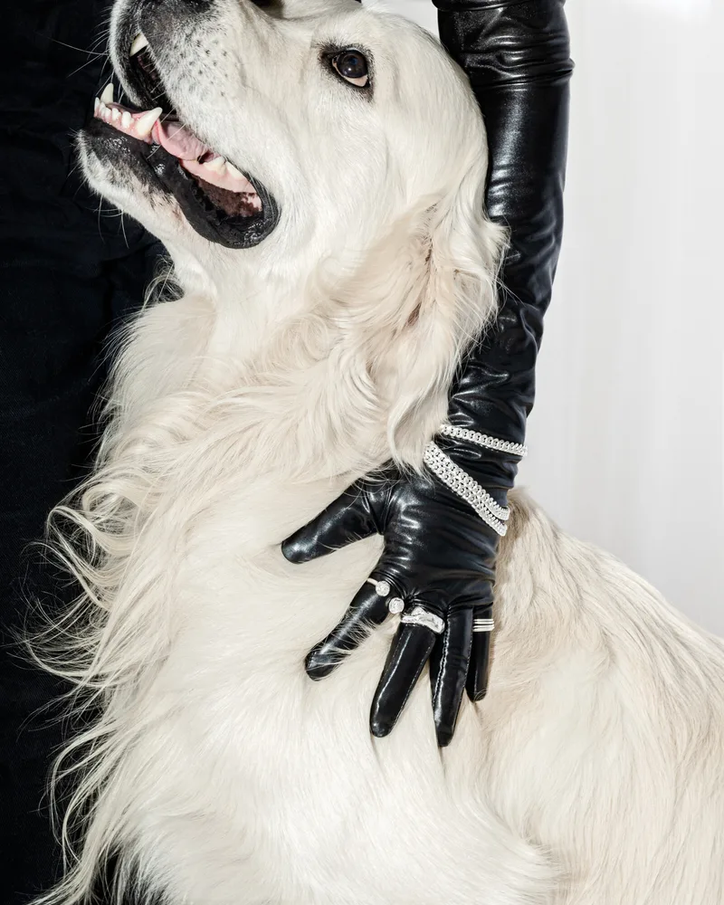 Novi — Lisa Läckgren