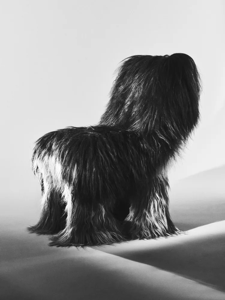 SEATS — Lisa Läckgren