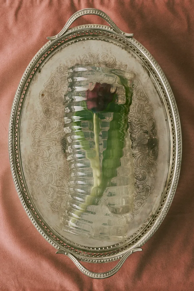 Jello — Rene Humphrey
