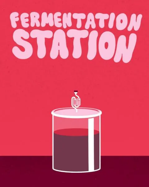 Fermentation Station