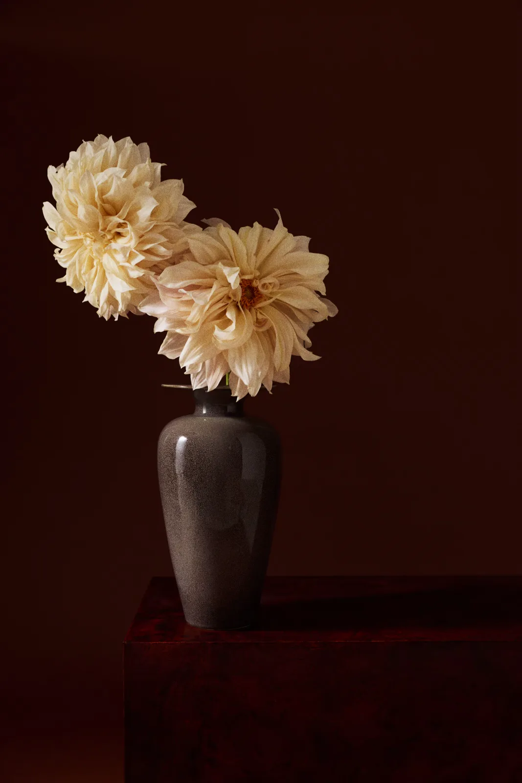 H&M Home — Julia Losciale