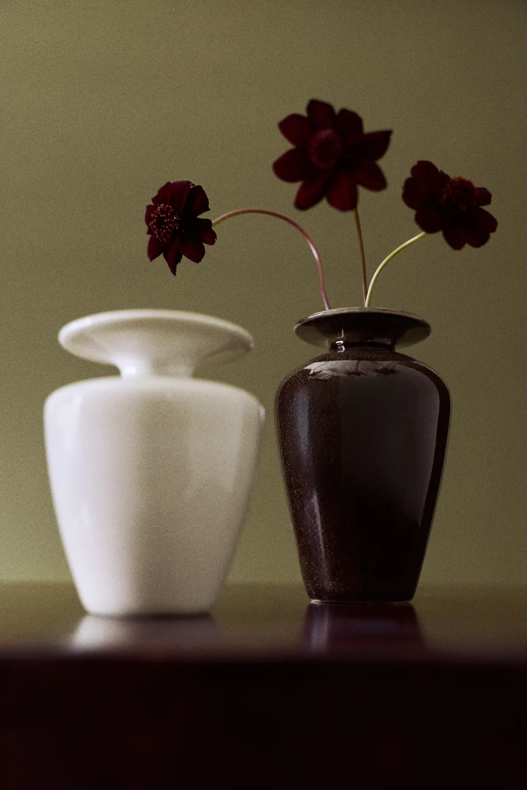 H&M Home — Julia Losciale
