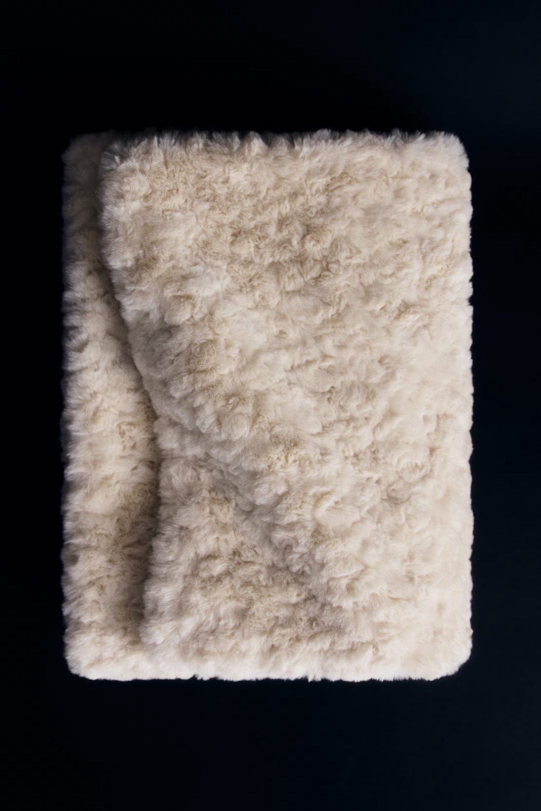 H&M Home — Julia Losciale
