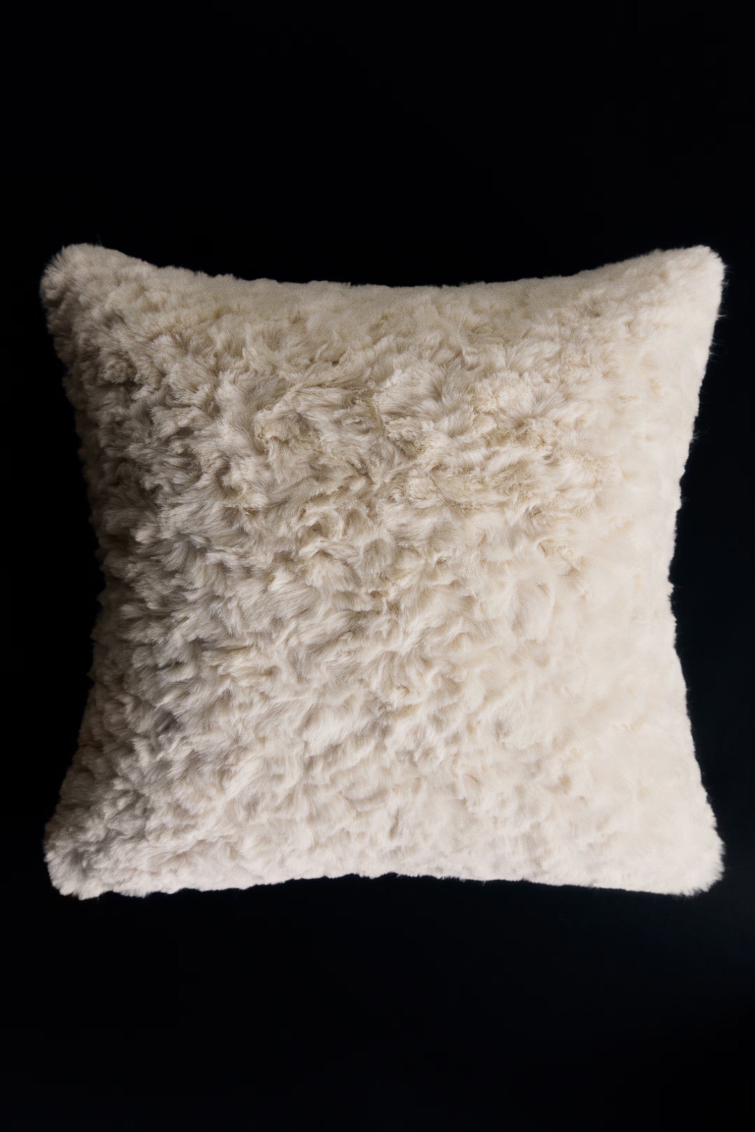 H&M Home — Julia Losciale