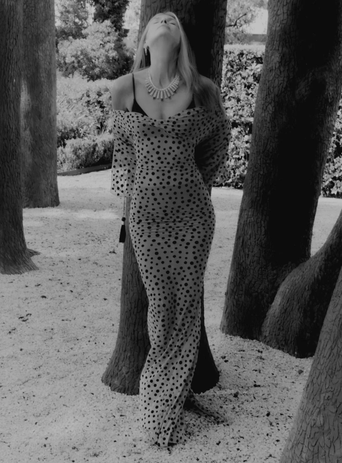 Harpers Bazaar — Freddy Persson