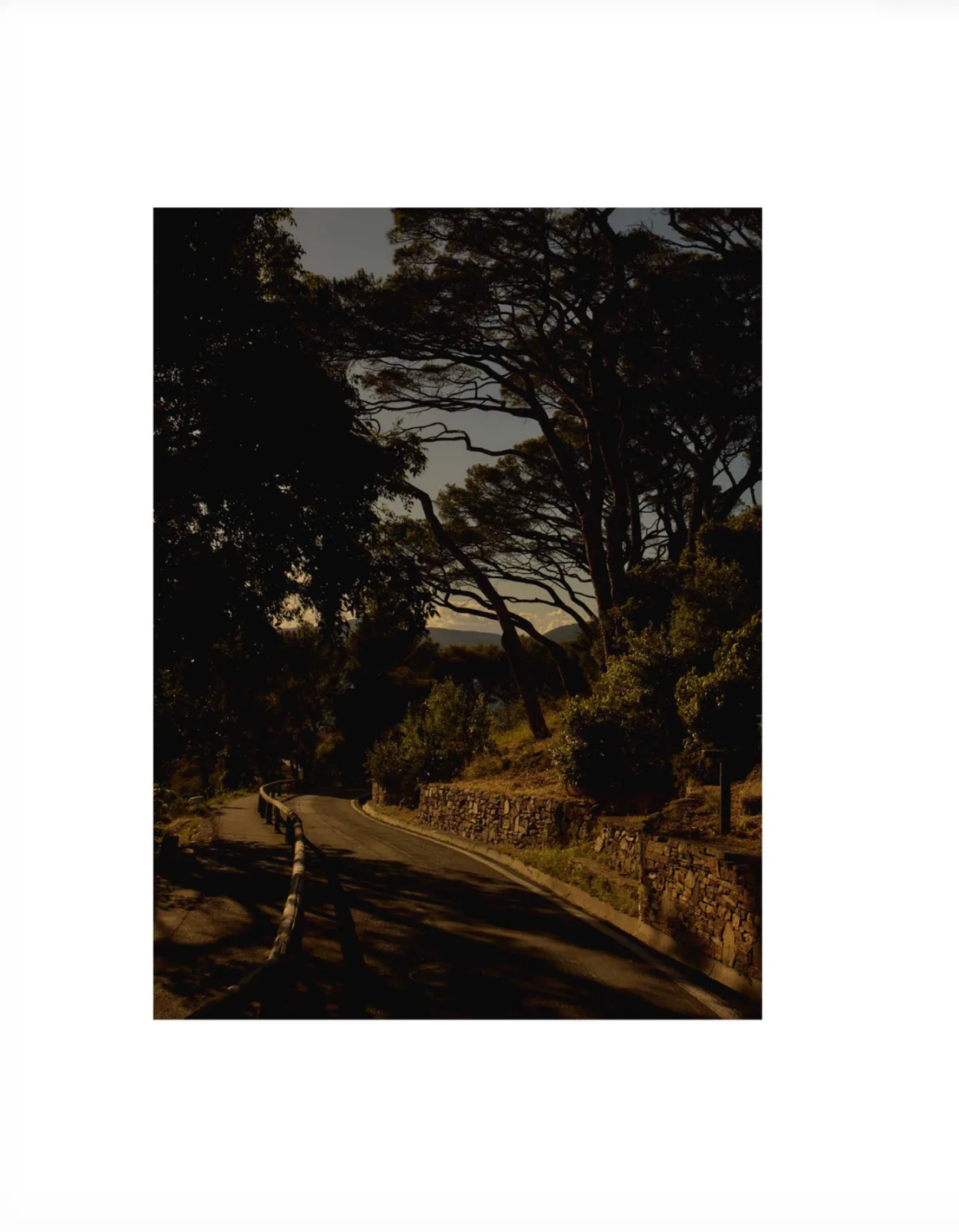 Harpers Bazaar — Freddy Persson
