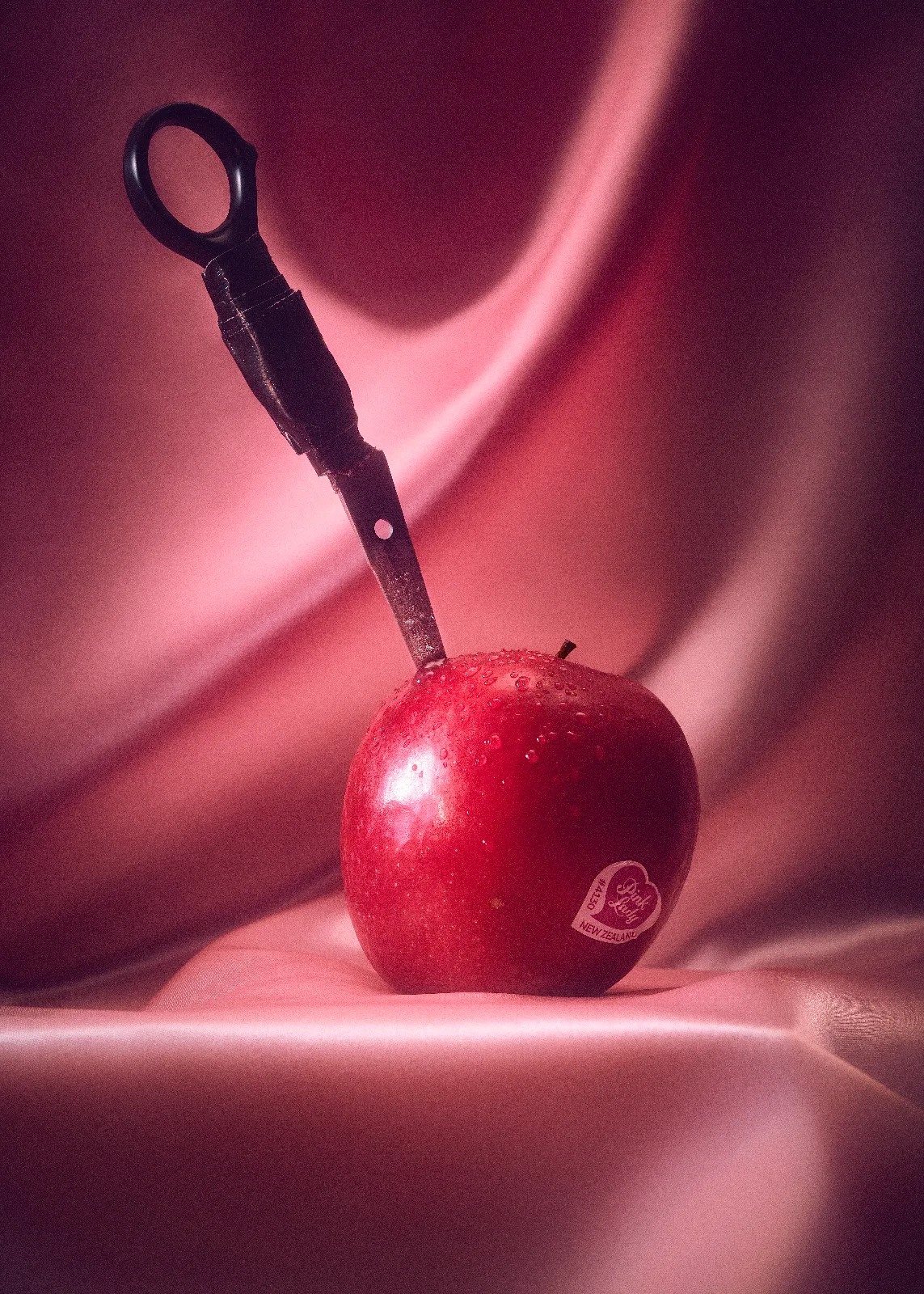 Beauty Shanks — Lisa Läckgren